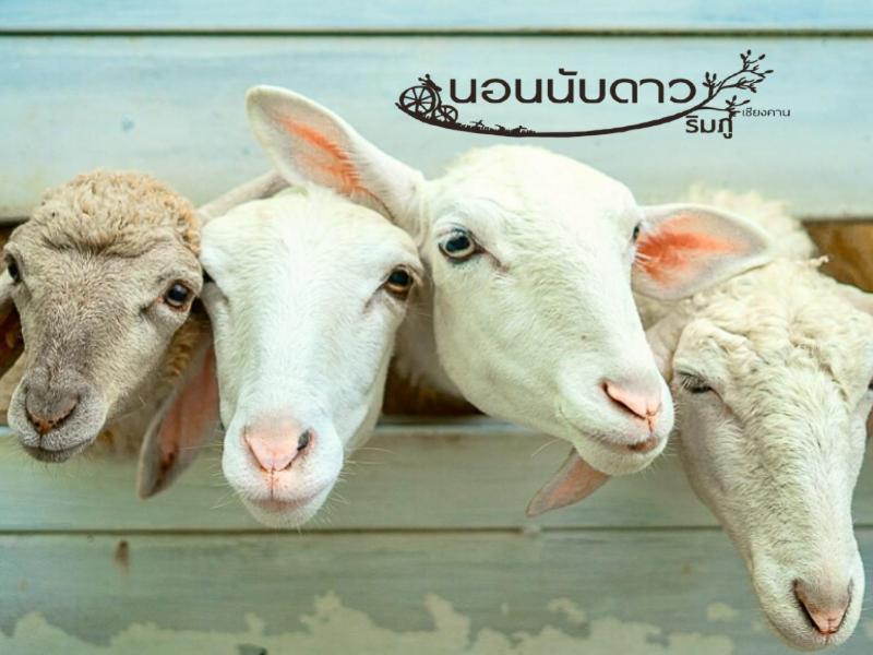 Norn Nab Dao Rimphu Resort Chiang Khan Zewnętrze zdjęcie